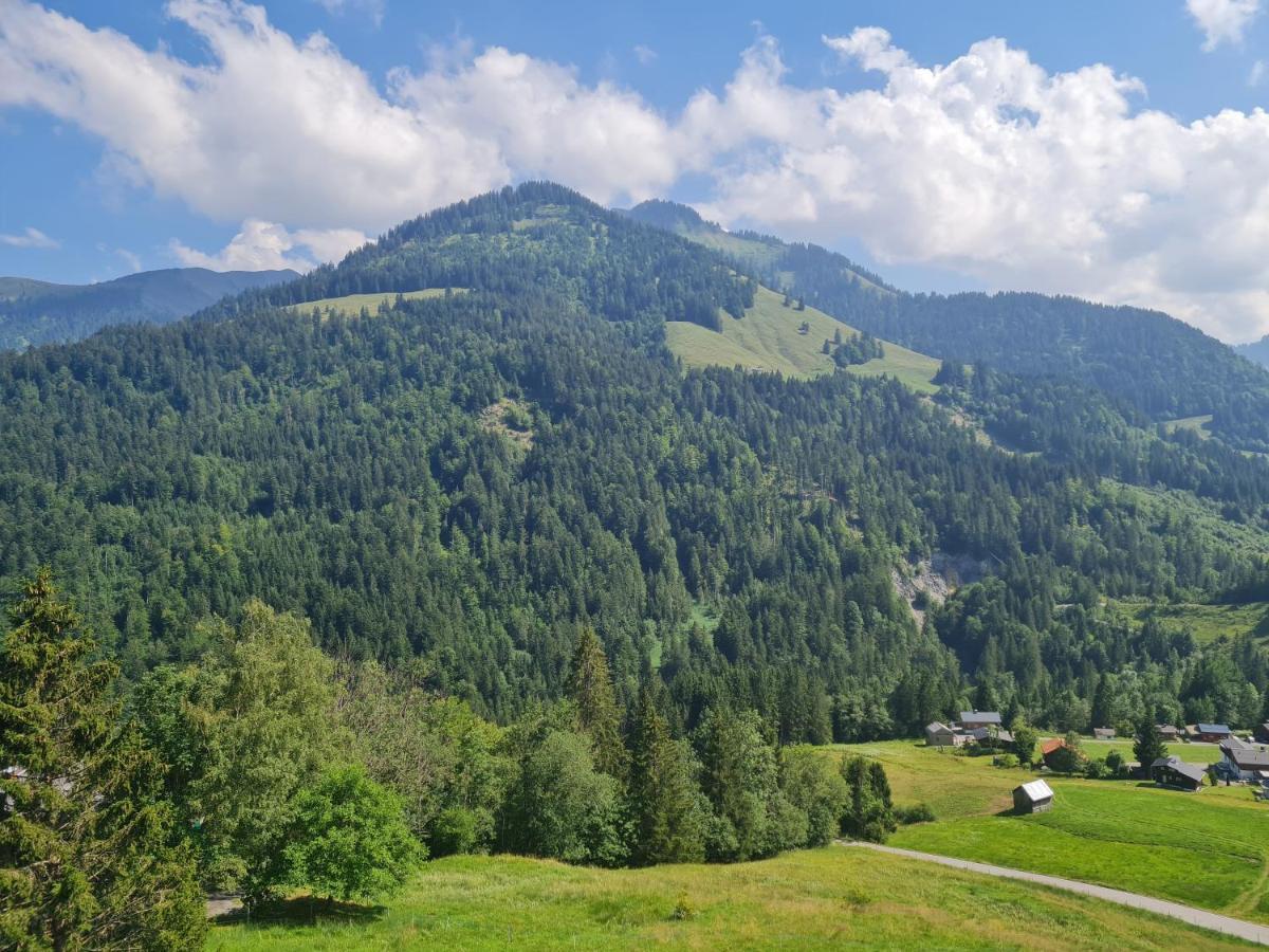 Apartment Melinda Ebnit Dornbirn