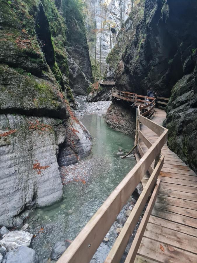 Melinda Ebnit * Dornbirn