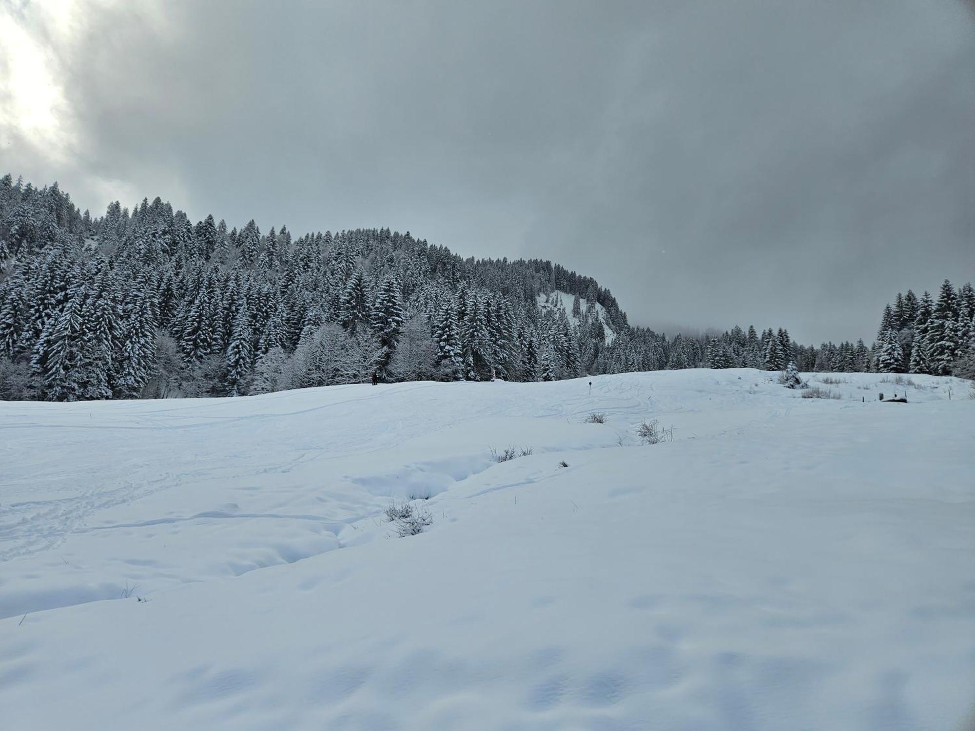 Melinda Ebnit * Dornbirn